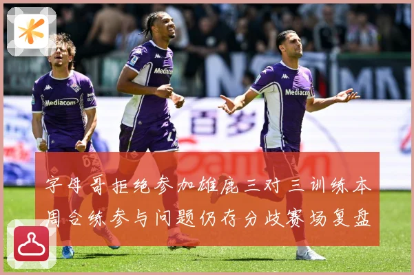 字母哥拒绝参加雄鹿三对三训练本周合练参与问题仍存分歧赛场复盘-深度解析